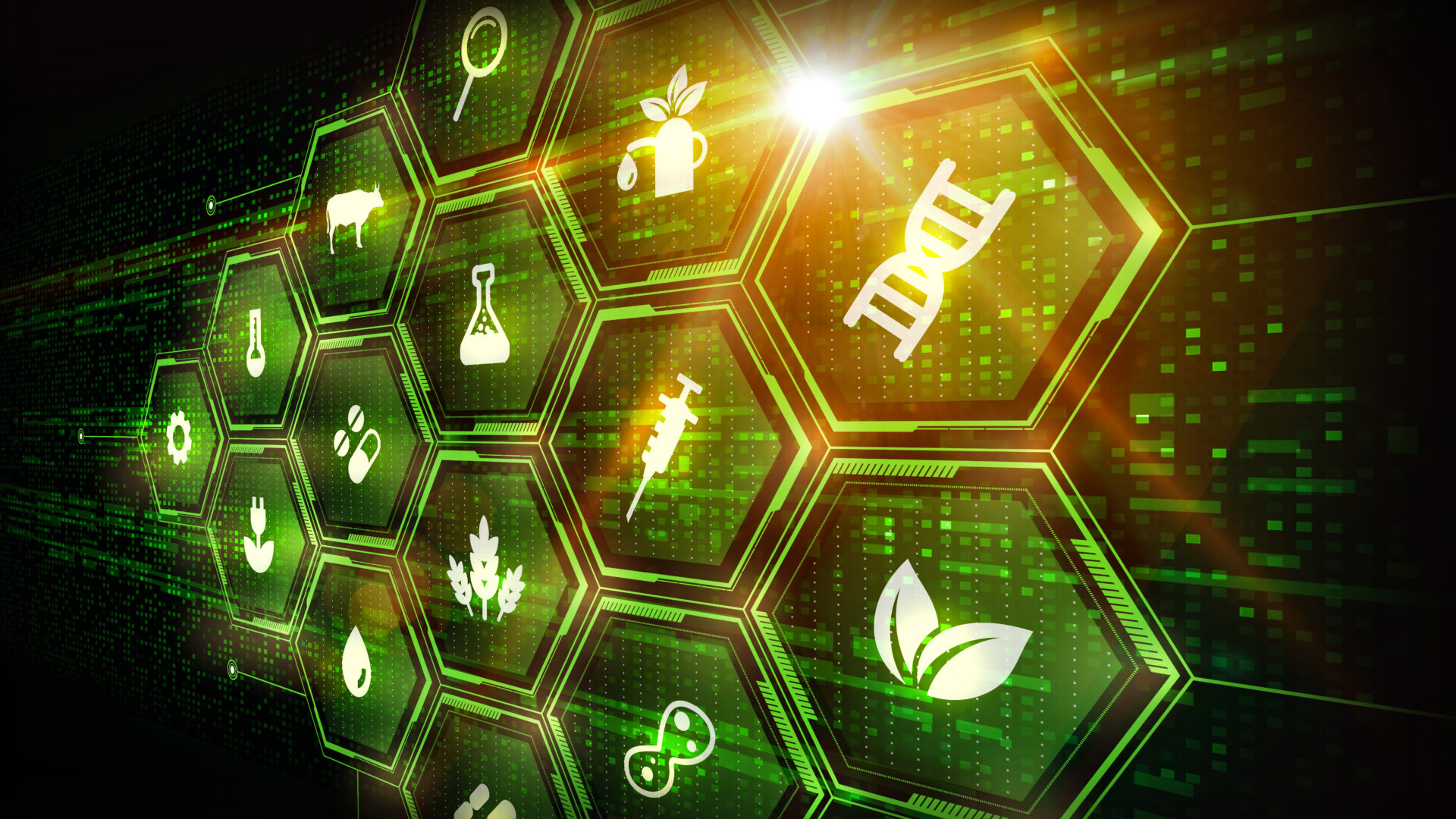 Engineering Biology Innovation Network